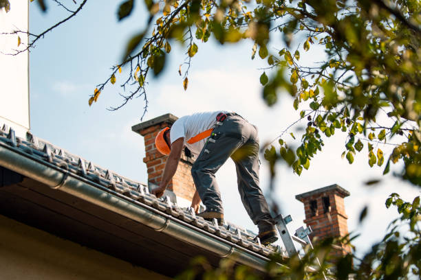 Best Roof Gutter Cleaning  in Chatmoss, VA